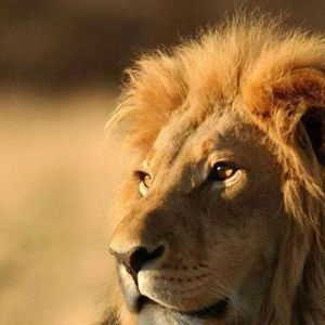 Meet your Posher, Tyree